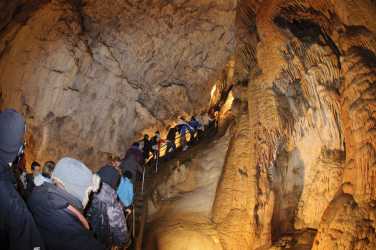 Obóz młodzieżowy, CHOPOK 2025. Obóz narciarski (11-19 lat). Zakwaterowawnie pensjonat Horec.