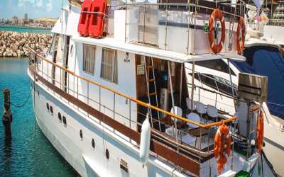 Wycieczka Dream of Turtles ST Georgios II rejs poranny z Ayia Napy - marzenie zobaczyć żółwie dla rodzin